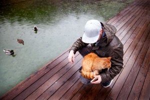 Lake Bled, Slovenia, Europe