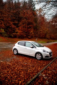 Lake Bled, Slovenia, Europe