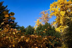 Zagreb, Croatia, Europe