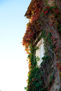 Dubrovnik, Croatia, travel, Europe, ex-Yugoslavia, Markus Isomeri, photography