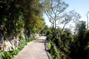 Gibraltar United Kingdom England Europe travel photo Markus Isomeri