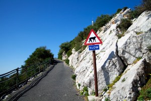 Gibraltar United Kingdom England Europe sign travel photo Markus Isomeri